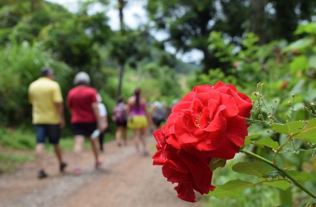 FOTO: Adriana Monteiro Arrial/Arquivo | Comunicação PMNP